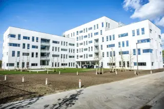 Nieuwe Zuid